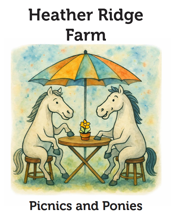 Heather Ridge Farm Picnics and Ponies Schooling Show Series