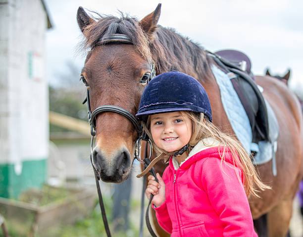 Horse and rider