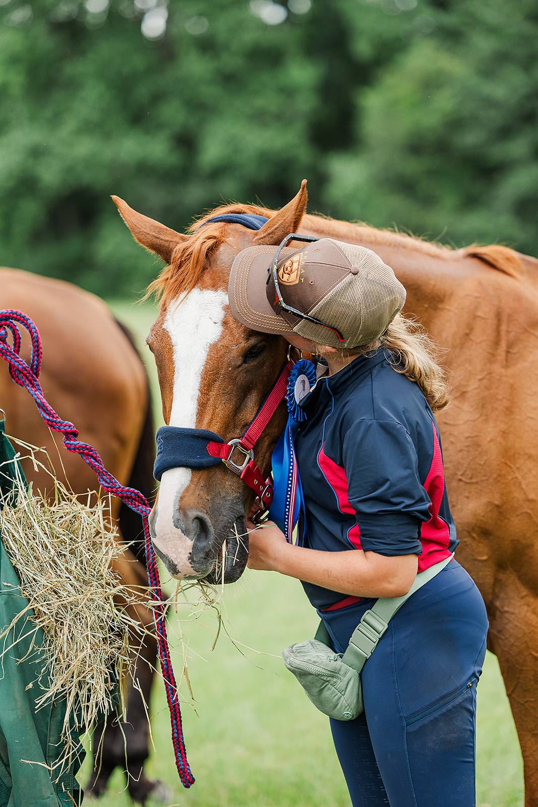 Horse and rider